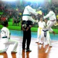 /album/edtkdafto%20-%20equipe%20demonstra%c3%a7%c3%a3o%20de%20taekwondo%20da%20afto/cai%c3%a7ara%2040-jpg/